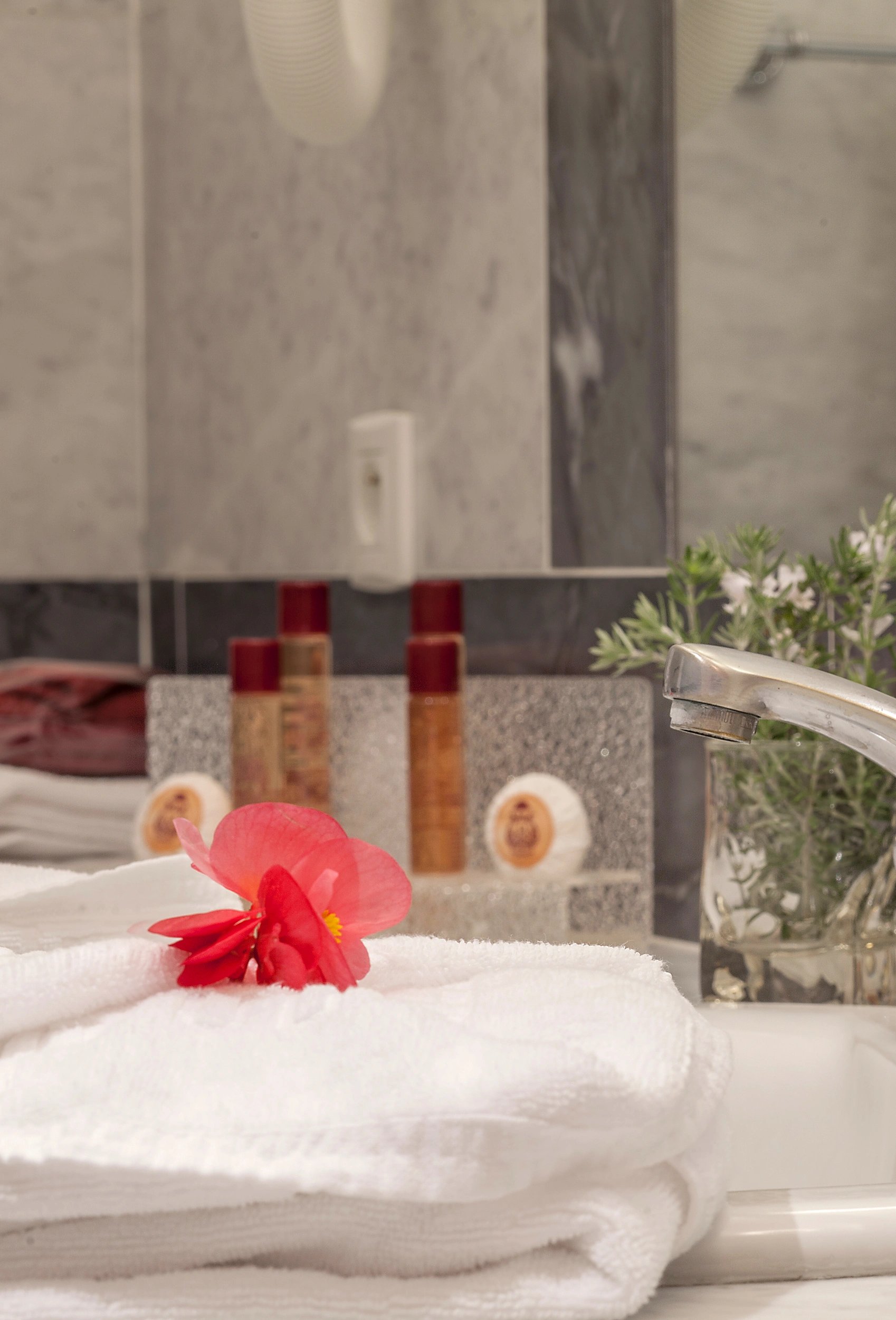 Produits d’accueil dans la salle de bain de l’hôtel 3 étoiles à Lucciana